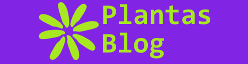 Plantas Blog