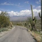 Destinos turísticos para experiencias únicas con suculentas y cactus
