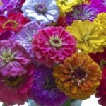 Magia de las flores exóticas en la decoración de eventos y bodas
