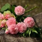 Métodos para preservar flores exóticas: técnicas clave