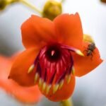 Guía completa para llegar a un jardín botánico con flores exóticas